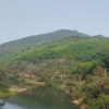 Plantation for Sale