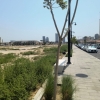  Land for Sale in the heart of Al Khobar City, Saudi Arabia 